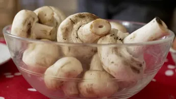 Le Mag de la santé - Champignons : profiter des bienfaits sans danger
