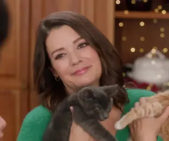 Neuf chatons pour Noël