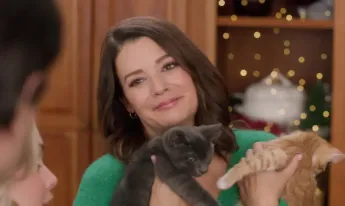 Neuf chatons pour Noël - 