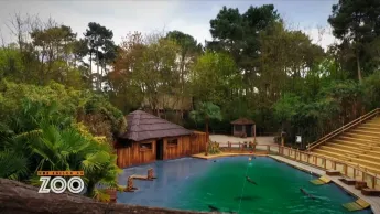 Une saison au zoo - S13 E9