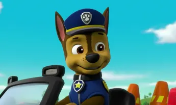 Paw Patrol, la Pat'Patrouille - A la recherche du bébé kangourou