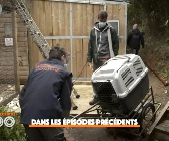 Une saison au zoo