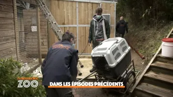 Une saison au zoo - S13 E47