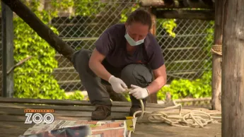 Une saison au zoo - S13 E49