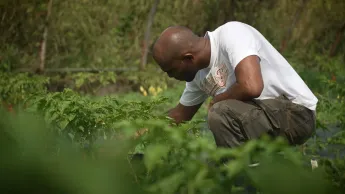 C pas si loin - Agriculteur : Une histoire de famille