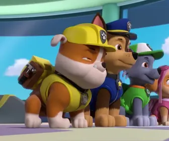 Paw Patrol, la Pat'Patrouille