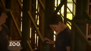 Une saison au zoo - S13 E50