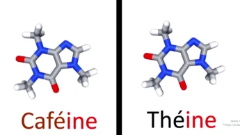 E=M6 - Beurre ou huile, thé ou café, viande rouge ou blanche : 3 matchs arbitrés par la science !