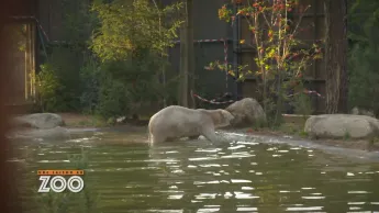 Une saison au zoo - S12 E28