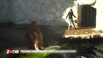 Zone interdite - Toujours plus grand, toujours plus spectaculaire : le pari fou du plus beau zoo d’Europe