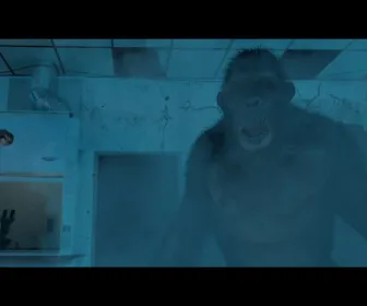 Ape vs Monster