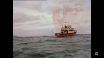 L'attaque des requins tueurs - 
