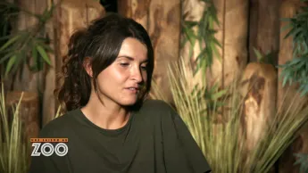 Une saison au zoo - S12 E37