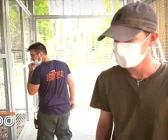 Une saison au zoo