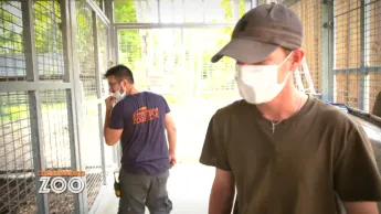 Une saison au zoo - S12 E42