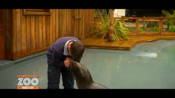 Une saison au zoo - S13 E55