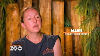 Une saison au zoo - S14 E1