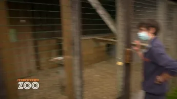 Une saison au zoo - S14 E2