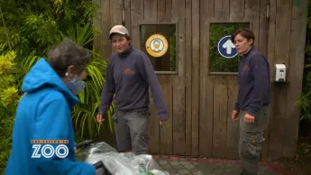 Une saison au zoo - S14 E3
