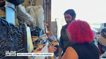 Un jour, un doc - Déco d’automne : à fond les marrons !