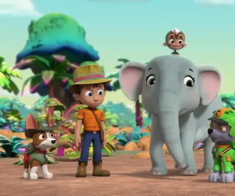 Paw Patrol, la Pat'Patrouille