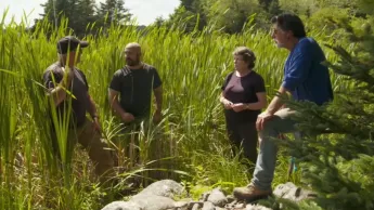 Le mystère d'Oak Island : la course au trésor - S10E16 - Puits-tu le croire ?
