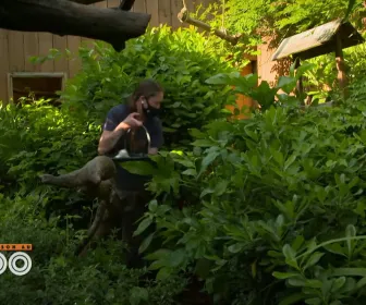 Une saison au zoo