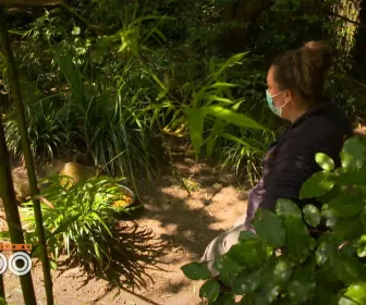 Une saison au zoo