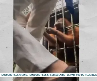 Un jour, un doc
