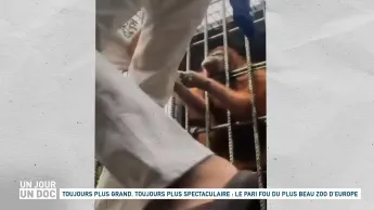 Un jour, un doc - Toujours plus grand, toujours plus spectaculaire : le pari fou du plus beau zoo d’Europe (1/2)