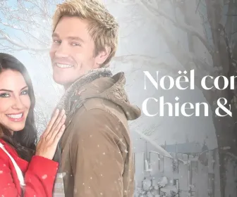 Noël comme chien et chat