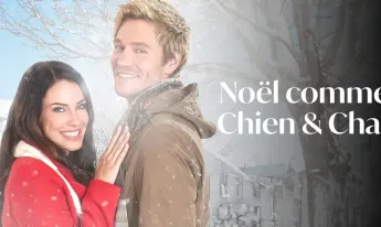 Noël comme chien et chat - 