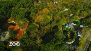 Une saison au zoo - S13 E32
