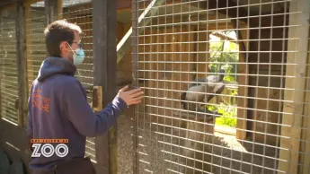 Une saison au zoo - S13 E33