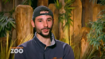 Une saison au zoo - S13 E34
