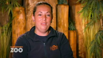 Une saison au zoo - S14 E20
