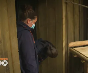 Une saison au zoo