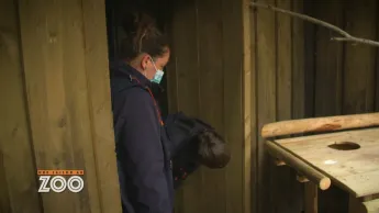 Une saison au zoo - S14 E21