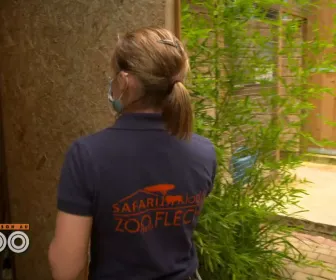 Une saison au zoo