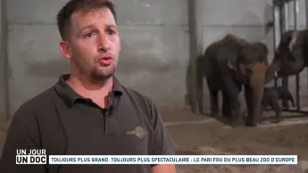 Un jour, un doc - Toujours plus grand, toujours plus spectaculaire : le pari fou du plus beau zoo d’Europe (2/2)