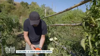 Un jour, un doc week-end - La Balagne, le jardin secret des Corses