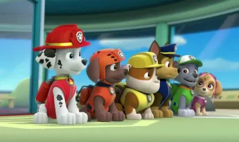 Paw Patrol, la Pat'Patrouille - Un singe en liberté