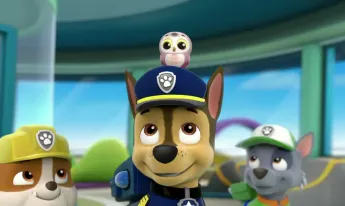 Paw Patrol, la Pat'Patrouille - Le sauvetage du hibou