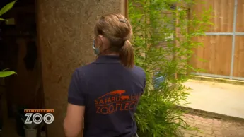 Une saison au zoo - S14 E25