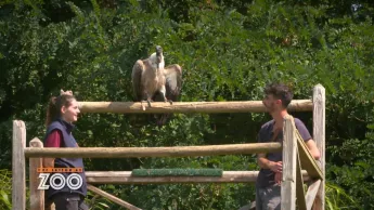 Une saison au zoo - S14 E30