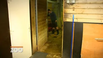 Une saison au zoo - S14 E33