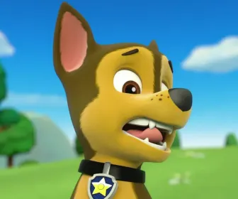 Paw Patrol, la Pat'Patrouille