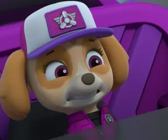 Paw Patrol, la Pat'Patrouille