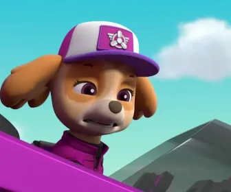 Paw Patrol, la Pat'Patrouille