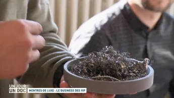 Un jour, un doc - Montres de luxe : le business des VIP
